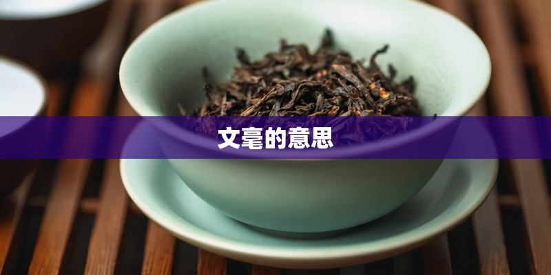 文毫的意思
