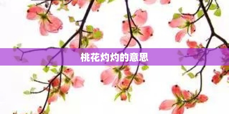 桃花灼灼的意思