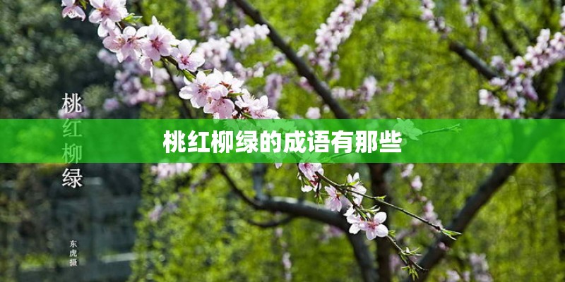 桃红柳绿的成语有那些