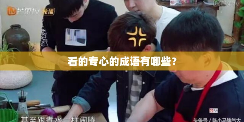 看的专心的成语有哪些？