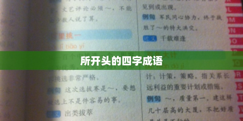 所开头的四字成语