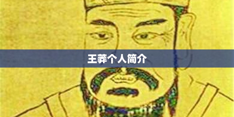 王莽个人简介