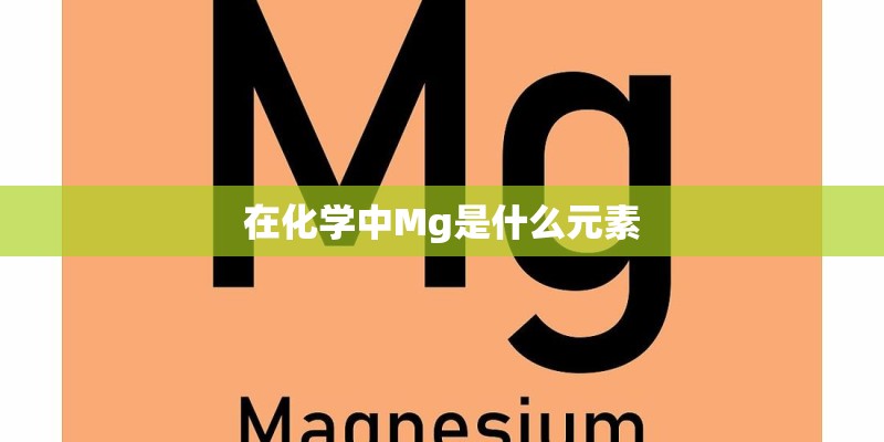 在化学中Mg是什么元素