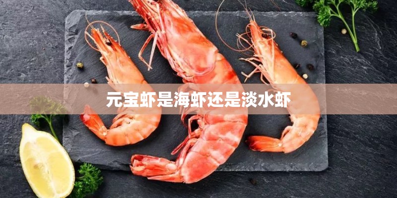 元宝虾是海虾还是淡水虾