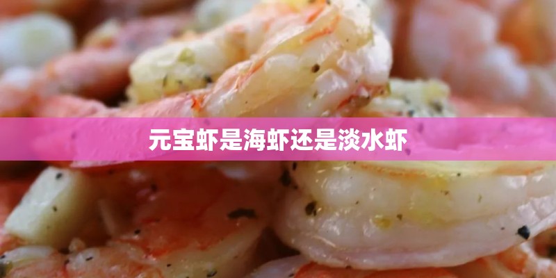 元宝虾是海虾还是淡水虾 元宝虾是海虾还是淡水虾