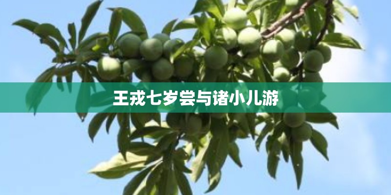 王戎七岁尝与诸小儿游 王戎七岁尝与诸小儿游