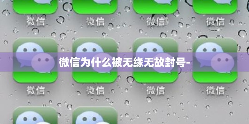 微信为什么被无缘无故封号-