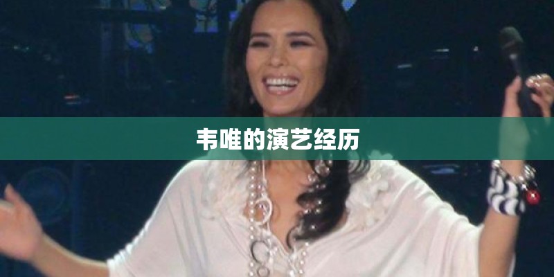 韦唯的演艺经历