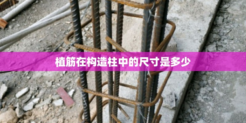 植筋在构造柱中的尺寸是多少