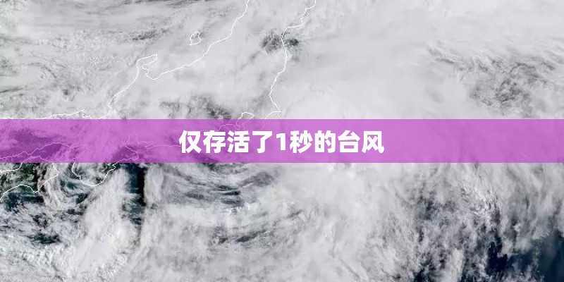 仅存活了1秒的台风