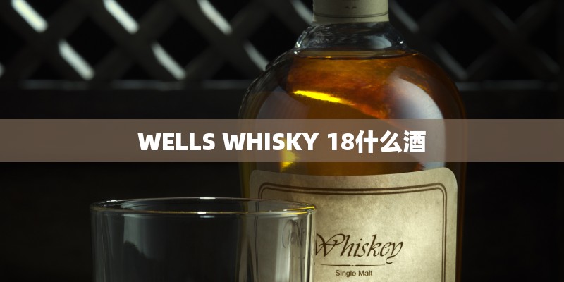 WELLS WHISKY 18什么酒 WELLS WHISKY 18什么酒