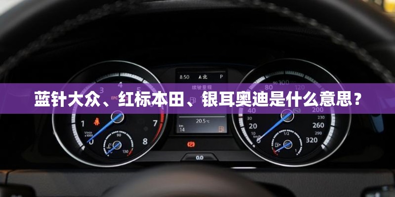 蓝针大众、红标本田、银耳奥迪是什么意思? 蓝针大众、红标本田、银耳奥迪是什么意思?