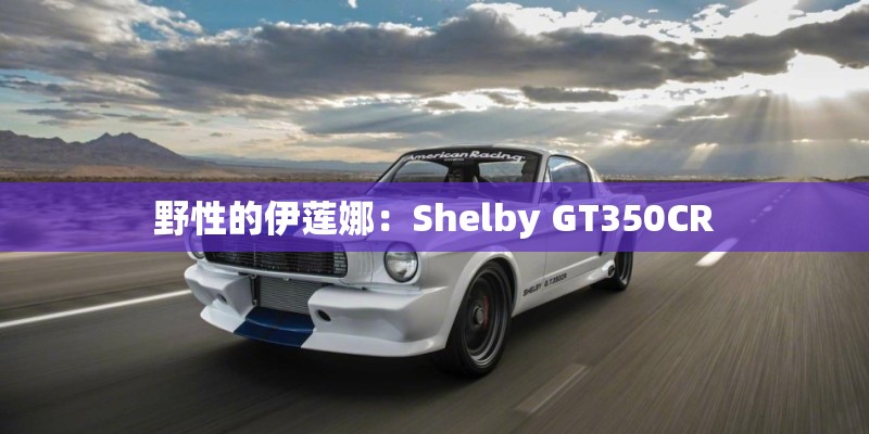 野性的伊莲娜：Shelby GT350CR