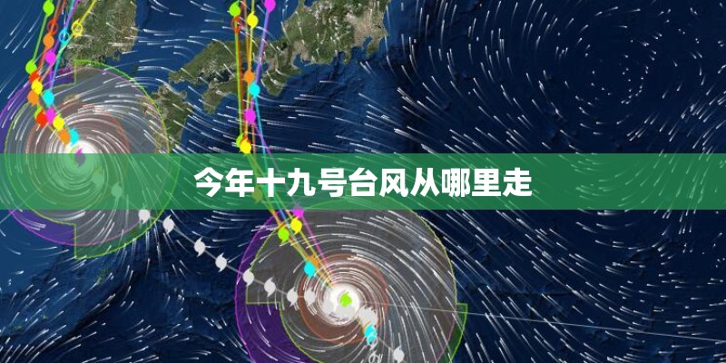 今年十九号台风从哪里走