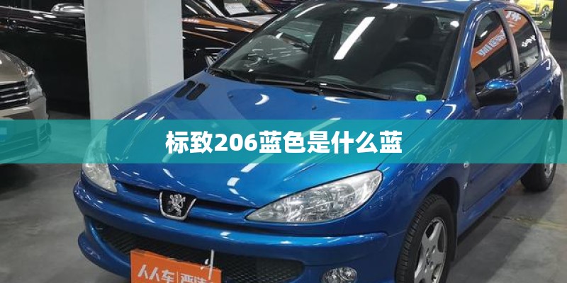 标致206蓝色是什么蓝