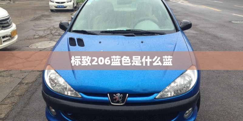标致206蓝色是什么蓝