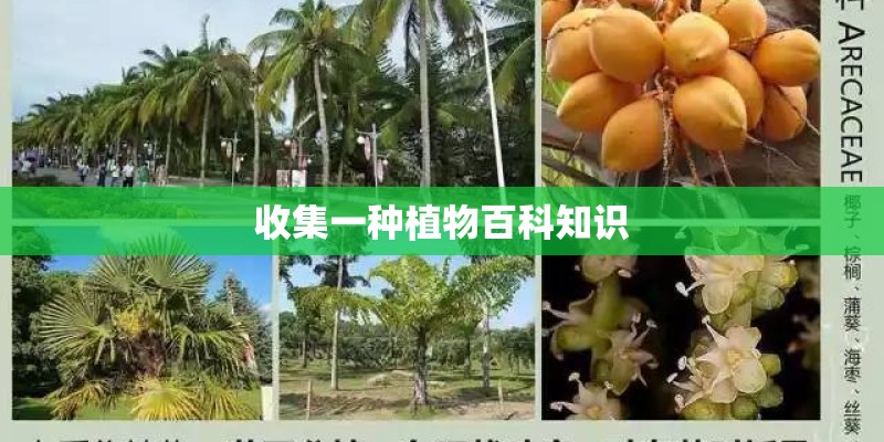 收集一种植物百科知识