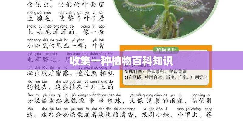收集一种植物百科知识