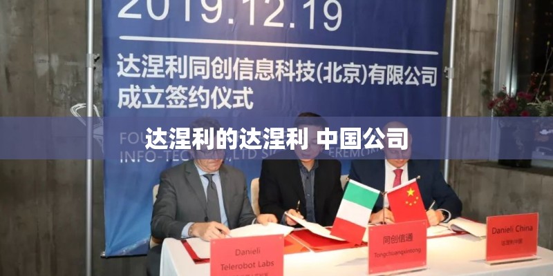 达涅利的达涅利 中国公司 达涅利的达涅利 中国公司