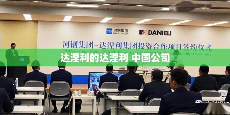 达涅利的达涅利 中国公司 达涅利的达涅利 中国公司