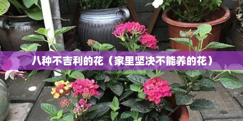 八种不吉利的花(家里坚决不能养的花) 八种不吉利的花(家里坚决不能养的花)