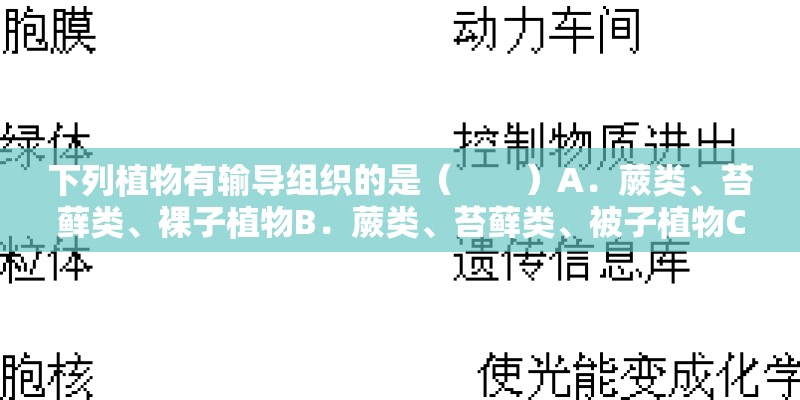 下列植物有输导组织的是( )A.蕨类、苔藓类、裸子植物B.蕨类、苔藓类、被子植物C.蕨类、裸子植物 下列植物有输导组织的是( )A.蕨类、苔藓类、裸子植物B.蕨类、苔藓类、被子植物C.蕨类、裸子植物