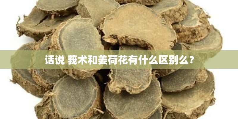 话说 莪术和姜荷花有什么区别么？