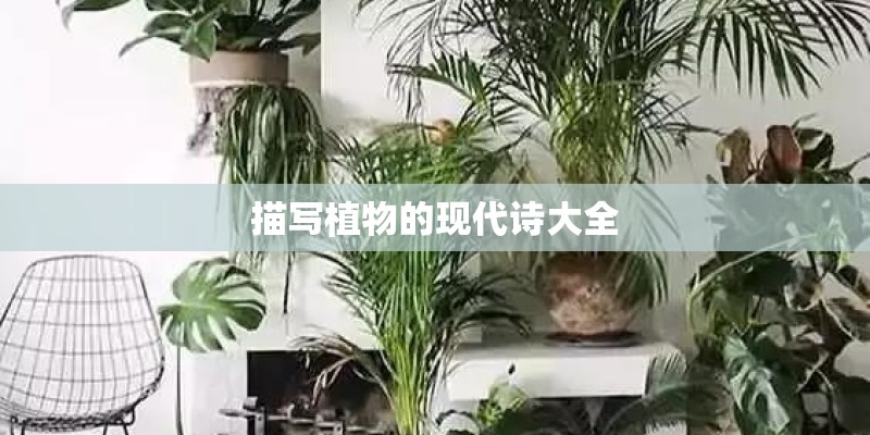 描写植物的现代诗大全