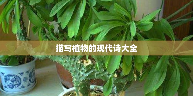 描写植物的现代诗大全