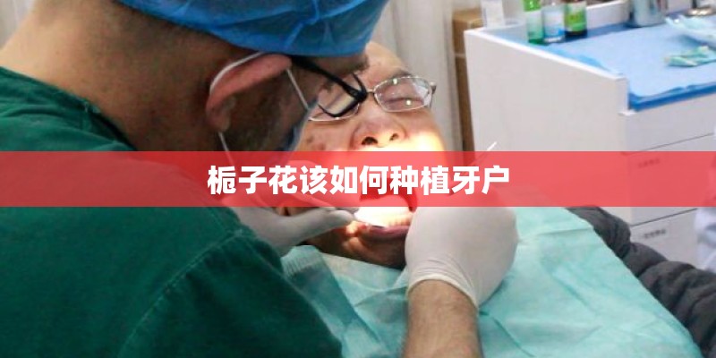 栀子花该如何种植牙户
