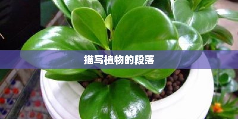 描写植物的段落