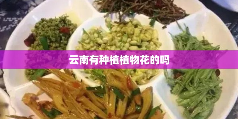 云南有种植植物花的吗