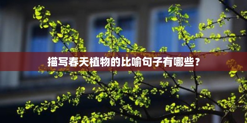 描写春天植物的比喻句子有哪些？