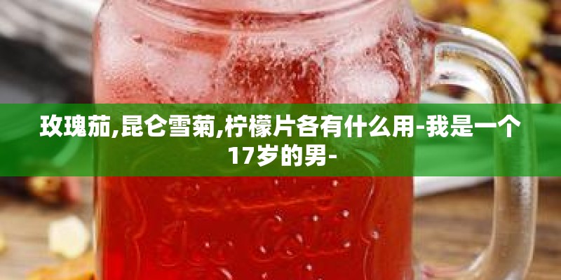 玫瑰茄,昆仑雪菊,柠檬片各有什么用-我是一个17岁的男-