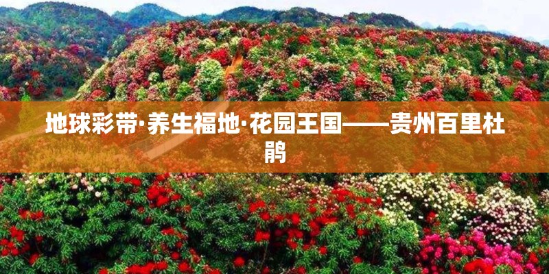 地球彩带·养生福地·花园王国——贵州百里杜鹃