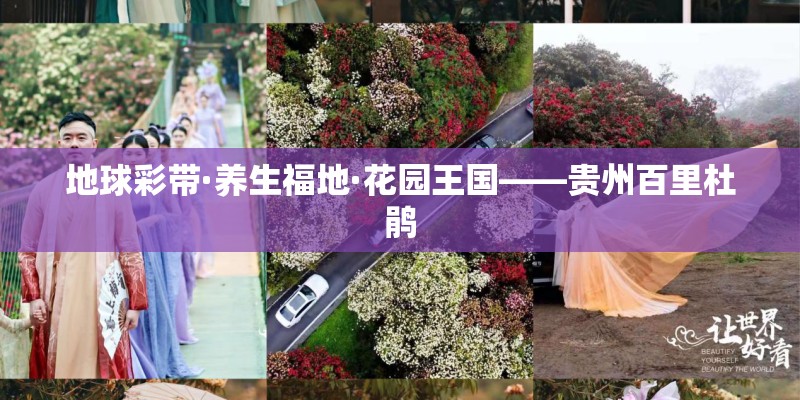 地球彩带·养生福地·花园王国——贵州百里杜鹃