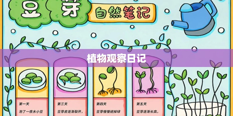 植物观察日记