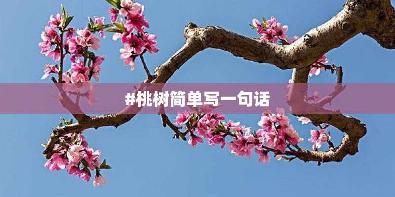 #桃树简单写一句话