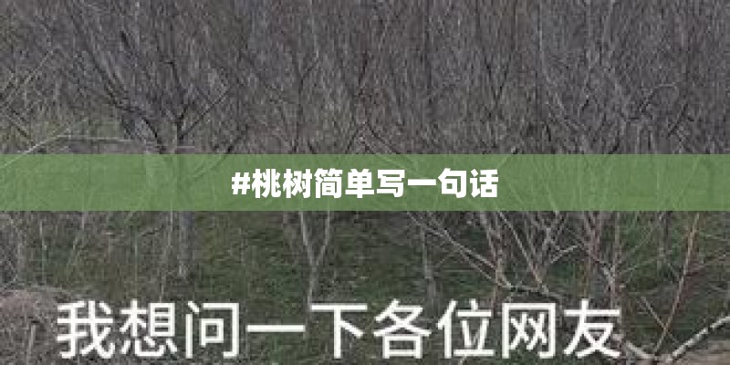 #桃树简单写一句话