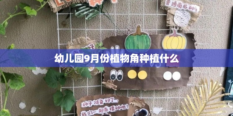幼儿园9月份植物角种植什么