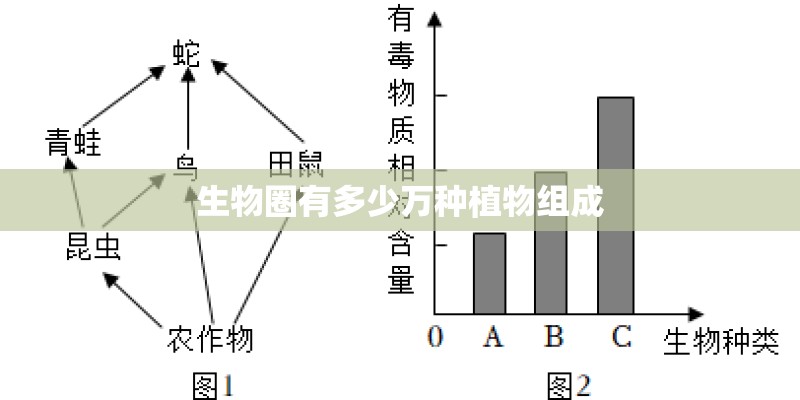 生物圈有多少万种植物组成