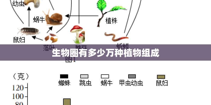 生物圈有多少万种植物组成
