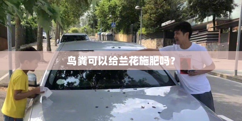 鸟粪可以给兰花施肥吗？