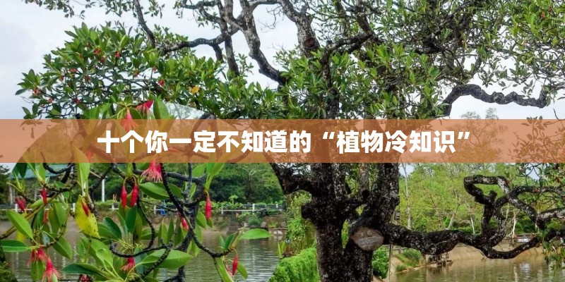 十个你一定不知道的“植物冷知识”