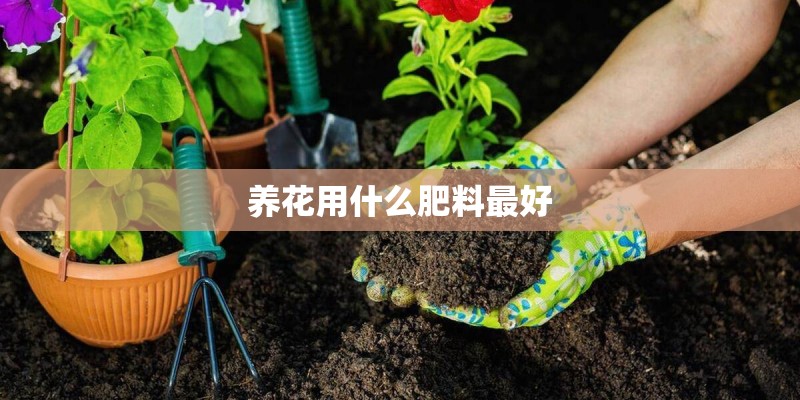 养花用什么肥料最好