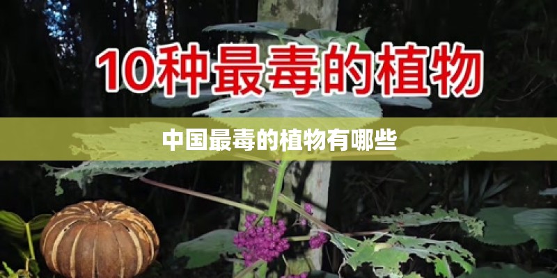 中国最毒的植物有哪些