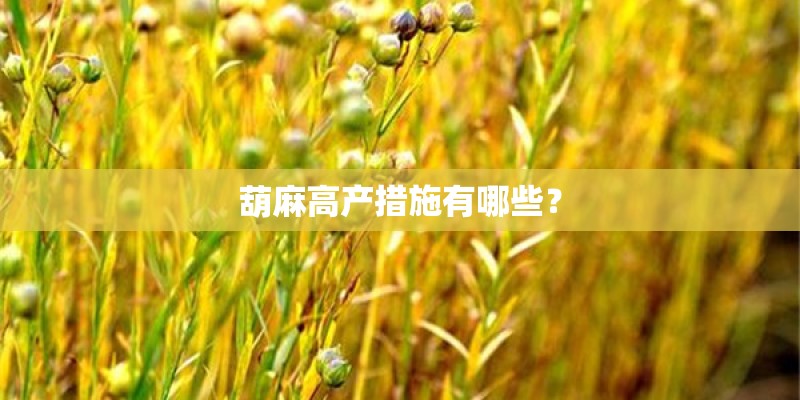 葫麻高产措施有哪些？