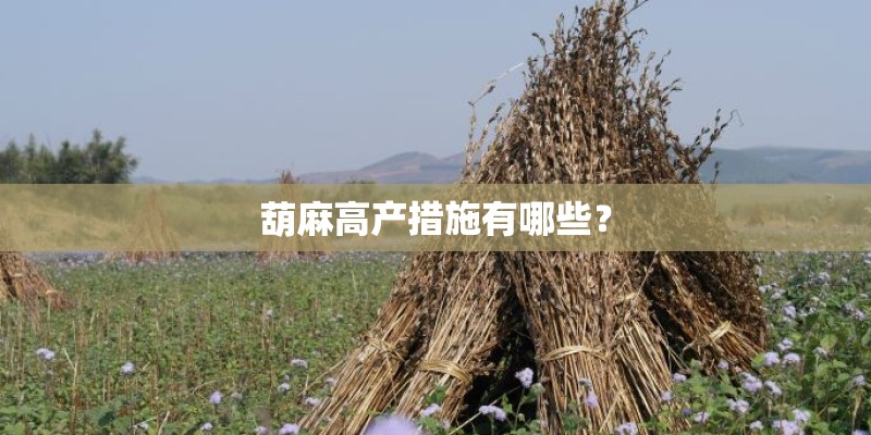 葫麻高产措施有哪些？