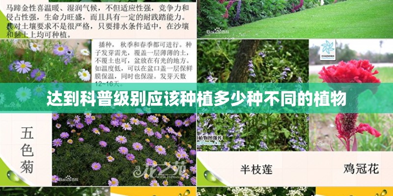 达到科普级别应该种植多少种不同的植物