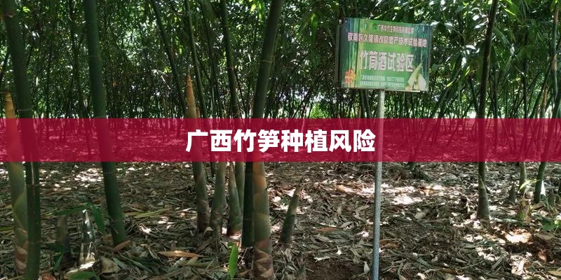 广西竹笋种植风险
